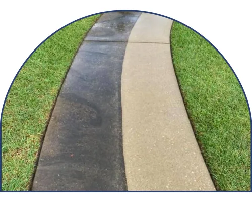 Concrete sidewalk half cleaned by 1st Class Pressure Cleaning in Franklin TN